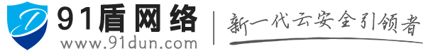 91盾 高防服务器租用,云堤清洗,安全领域专业提供商