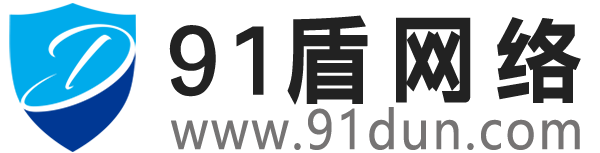 91盾 高防服务器租用,云堤清洗,安全领域专业提供商